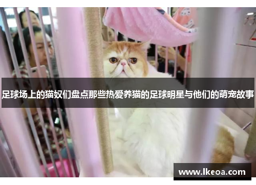 足球场上的猫奴们盘点那些热爱养猫的足球明星与他们的萌宠故事