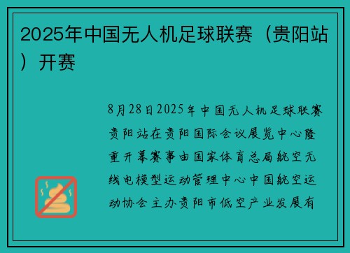 2025年中国无人机足球联赛（贵阳站）开赛